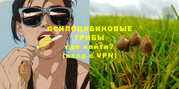 альфа пвп Осинники